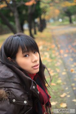 纵使相逢应不识